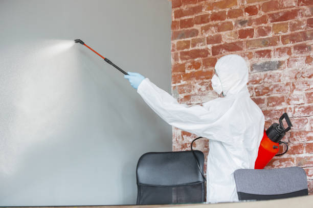 Best Forensic Mold Investigation  in Neshanic Station, NJ