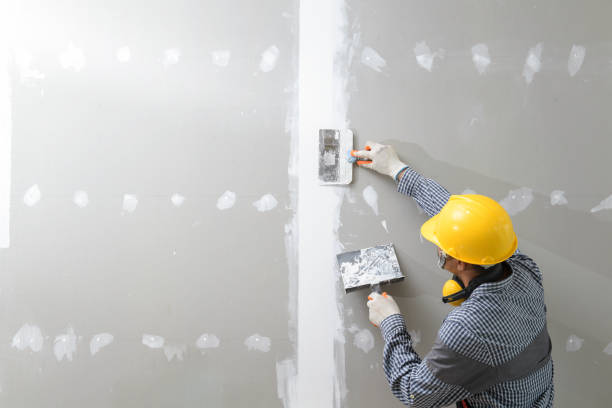 Best Mold-Related Health Consultation  in Neshanic Station, NJ
