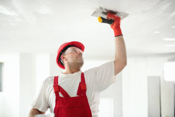 Best HVAC Mold Inspection and Cleaning  in Neshanic Station, NJ