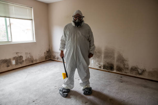 Best Water Damage & Mold Remediation  in Neshanic Station, NJ