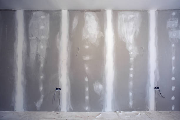 Environmental Consulting for Mold Prevention in Neshanic Station, NJ