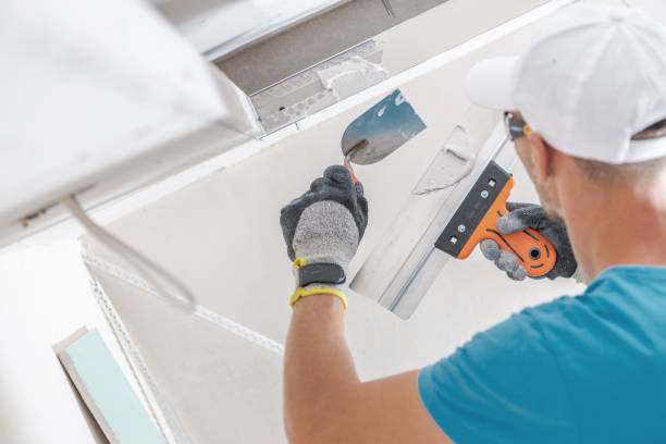 Best Mold Documentation for Insurance Claims  in Neshanic Station, NJ